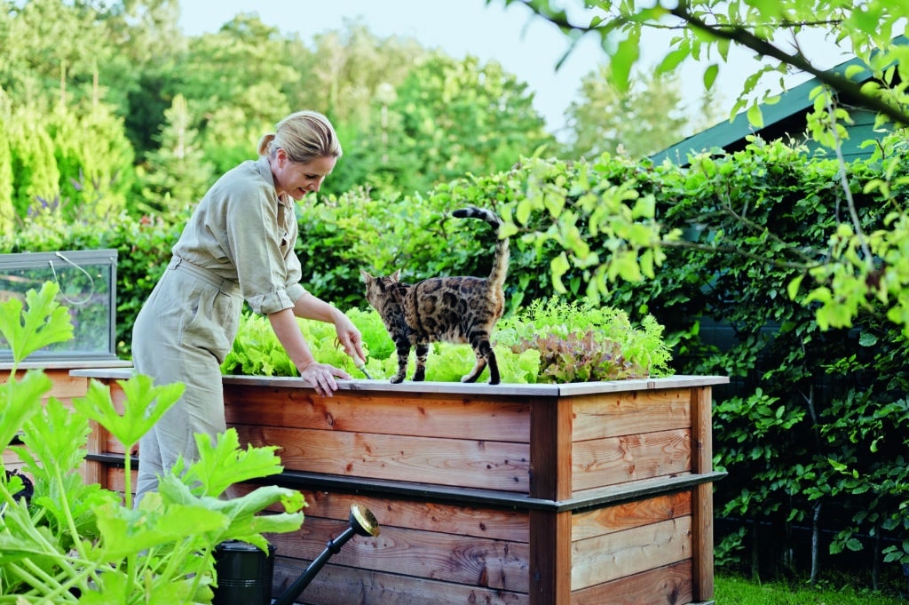 Frau gärtnert im Hochbeet mit Katze
