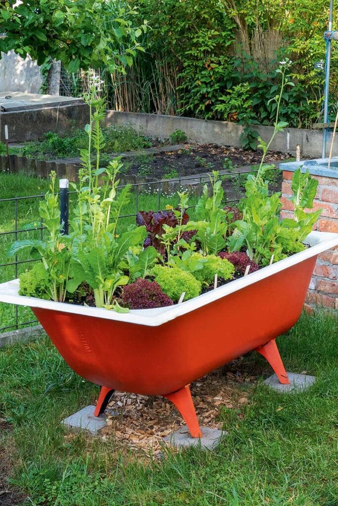 Rote Badewanne als Hochbeet im Garten