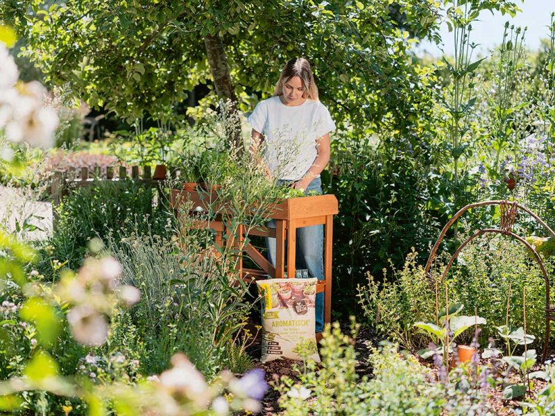 Frau beim Umtopfen an Hochbeet im Garten